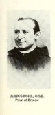 Rev P Julius Pohl