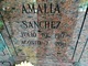  Amalia Sanchez