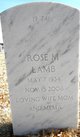 Rose Marie White Lamb Photo