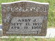  Andrew Johnson “Andy” Stubblefield
