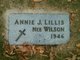  Annie J <I>Wilson</I> Lillis