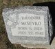  Theodore Miseyko