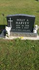 Holly Ann Harvey Photo