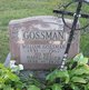  William Gossman