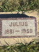  Julius Jacobson