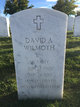  David A. Wilmoth