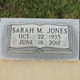  Sarah M. Jones