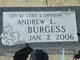  Andrew Lee Burgess
