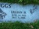  Lillian <I>Hulst</I> Briggs