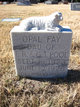  Opal Fay Pool