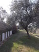 Gradara War Cemetery
