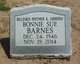 Bonnie Sue Barnes Photo