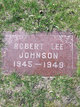  Robert Lee Johnson