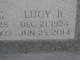 Lucy R. Sansone Warner Photo