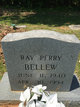  Ray Perry Bellew