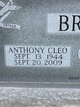 Anthony Cleo “Tony” Briggs Photo