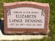 Elizabeth C “Liz” Swanson LaPage-Henning Photo