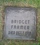 Bridget Burke Farmer Photo