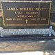  James Derrill Pratt