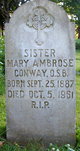 Sr Mary Ambrose Conway