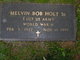 Melvin E. “Bob” Holt Sr. Photo