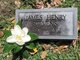  James Henry Stevens
