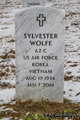  Sylvester Wolfe