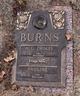  Mike L Burns