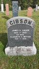  James D Gibson