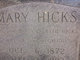  Mary Louisa <I>Hicks</I> McGaughy