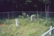 Bennett-Huffman Cemetery