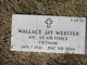 Wallace Jay Webster Photo