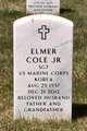 Sgt Elmer Cole Jr. Photo