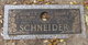  Geraldine N Schneider