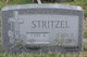  Julius P Stritzel