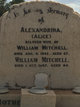  Alexandrina Johanna “Alice” <I>Sangster</I> Mitchell