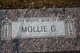  Mollie C. <I>Holtorf</I> Stevens