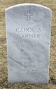 Carol Ann Garner Photo