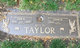 Ted N Taylor Photo