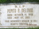  PEPITO B. DELOVIO