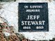 Jeff Stewart Photo