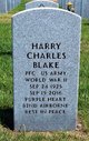 Harry Charles Blake Photo