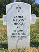 James Melvin Higgs Photo