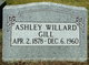  Ashley Willard Gill