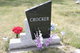  Ronald Charles Crocker