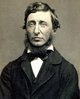 Profile photo:  Henry David Thoreau