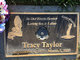 Tracy R. Taylor Photo