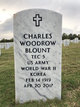 Rev Charles Woodrow Blount Sr. Photo