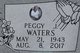Peggy J Waters Photo