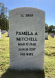 Pamela “Pam” Armbruster Mitchell Photo